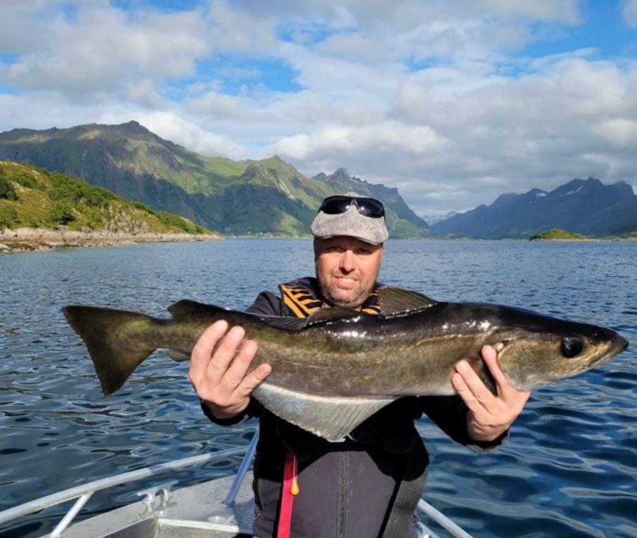 Lofoten And Vesteralen Kveldro Myrland Exterior photo