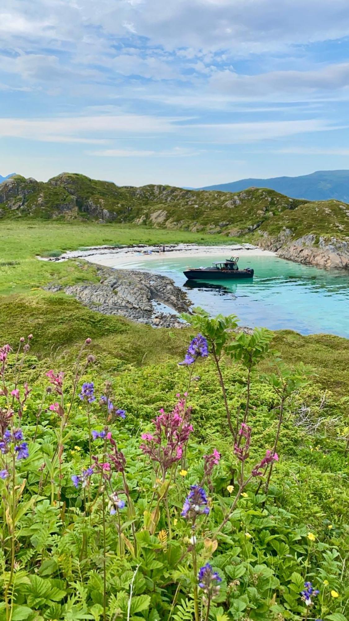 Lofoten And Vesteralen Kveldro Myrland Exterior photo