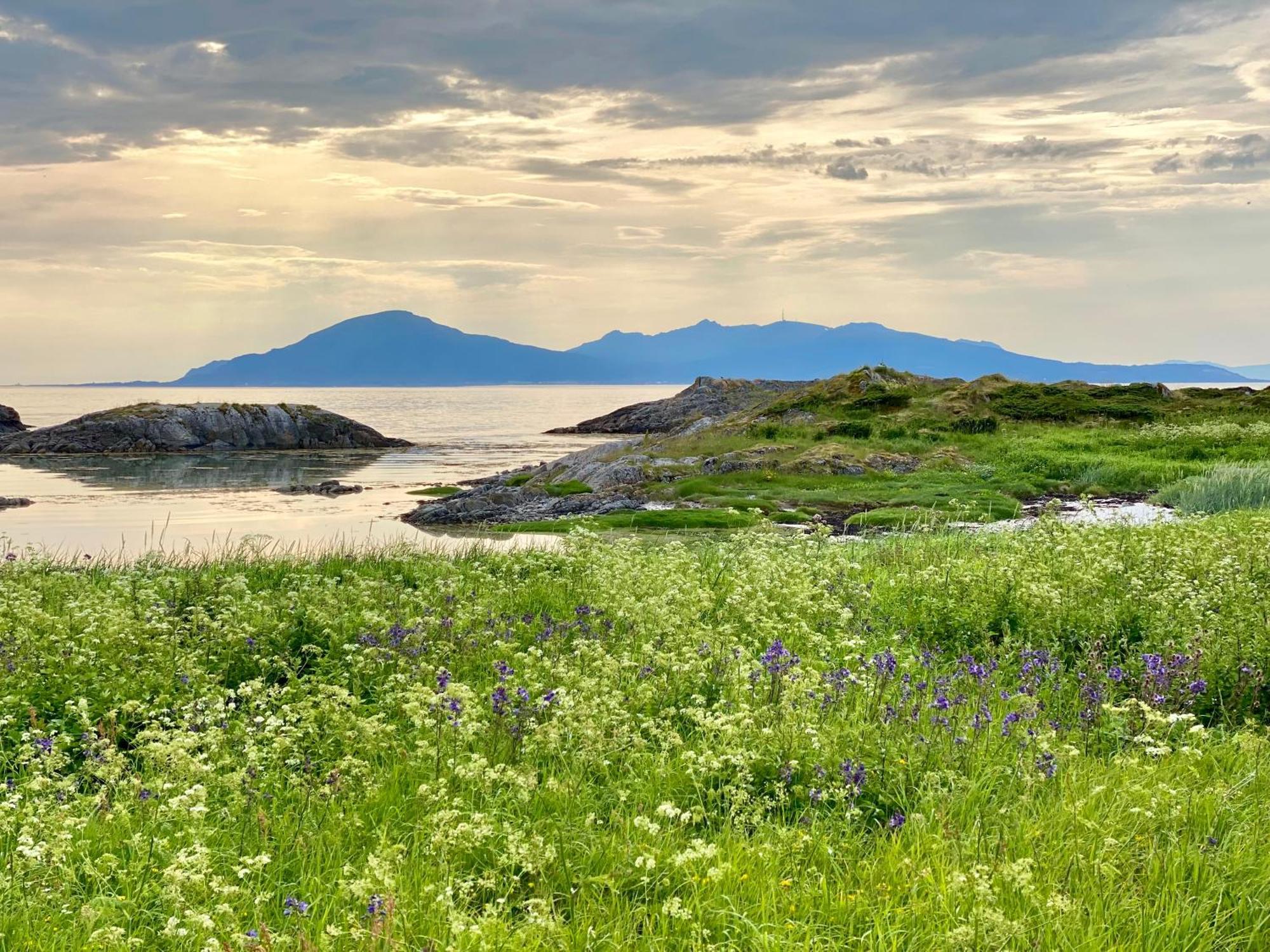 Lofoten And Vesteralen Kveldro Myrland Exterior photo